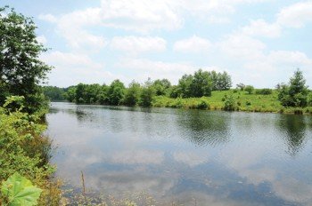 Property photo 31 - 1,025 Acres in 24 Tracts - Exellent Recreation Opportunity - Potential Building Sites - 11 Lakes & Ponds